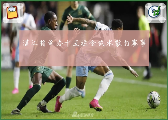 湛江将举办十五运会武术散打赛事