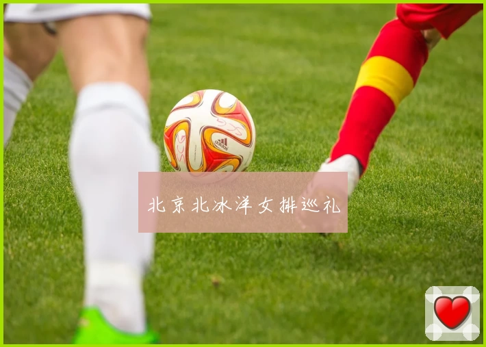 北京北冰洋女排巡礼