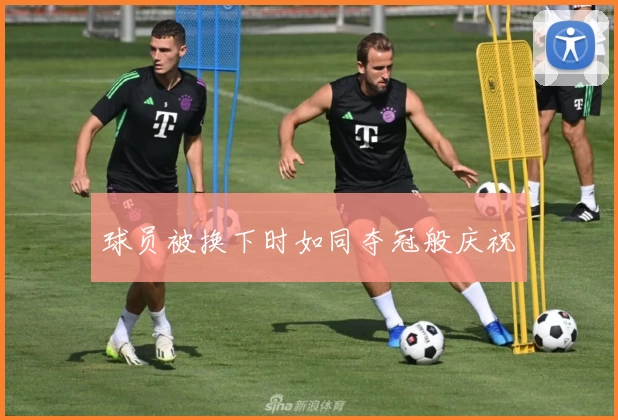 球员被换下时如同夺冠般庆祝