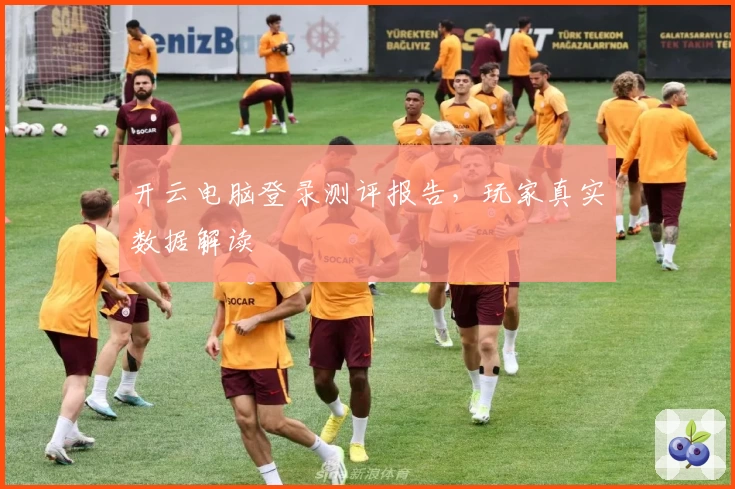 开云电脑登录测评报告，玩家真实数据解读