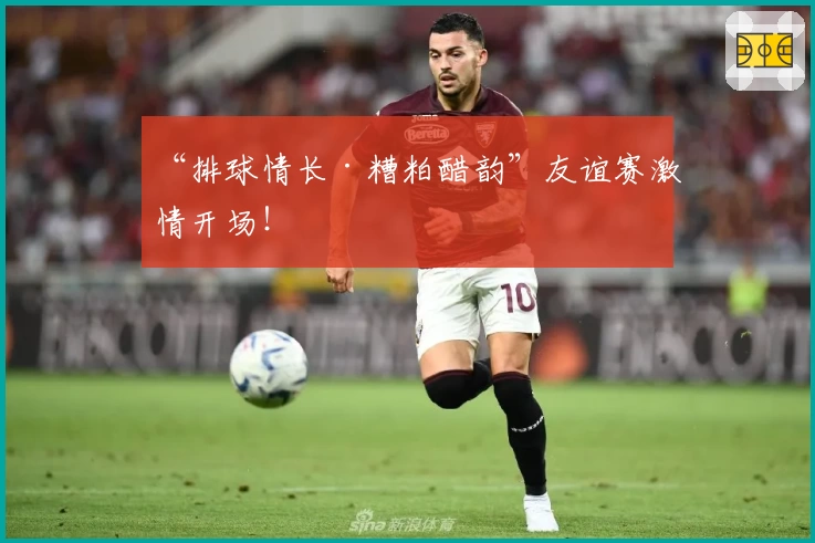 “排球情长·糟粕醋韵”友谊赛激情开场！