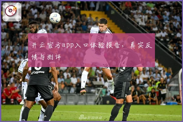 开云官方app入口体验报告，真实反馈与测评