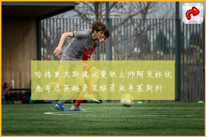 哈格里夫斯建议曼联主帅阿莫林优先考虑英超资深球员放弃塞斯科