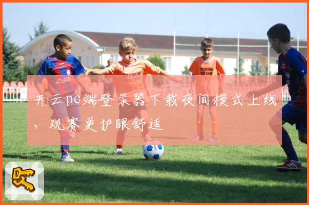 开云pc端登录器下载夜间模式上线，观赛更护眼舒适